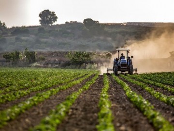 Sustainability of the agri-food chain: how technology can help us