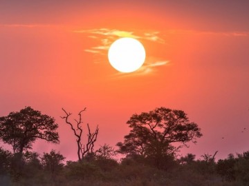 L'energia solare accumulata in Africa potrebbe alimentare tutto il mondo. Ecco perché non è ancora possibile